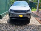 BYD Dolphin for Rent