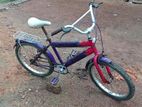 DSI Bicycle