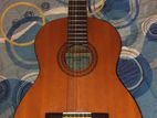 C40 guitar