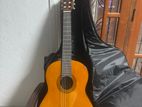 C40 Full Size Classical Guitar