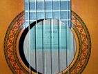C40 Guitar