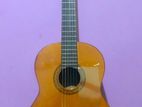 Yamaha C40 Guitar