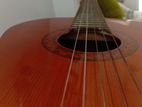 C40 Yamaha Acoustic Guitar