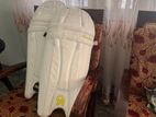 CA Plus 2000 Cricket Pads