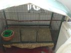 Cage 2.5ft × 1.3 Ft