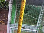 Birds Cage