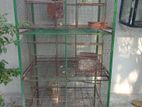 Birds Cage
