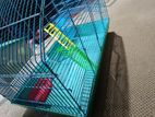 Animal Cage
