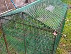 cage for finches