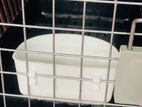 Pet Cage