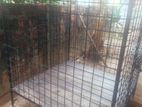 Cage for Animals