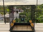 Animal Cage