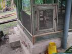 Cage | கோழி கூடு