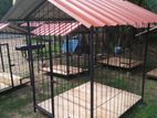 Cage Making
