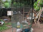 Cage steel