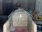 Birds Cage