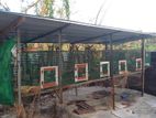 cage with roof
