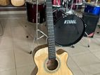 Calao 40 Acoustic Guitar