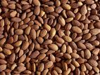 California Almond Nuts