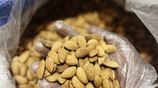 Californian Almonds Nuts Wholesale