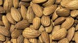 Californian Almonds Nuts Wholesale