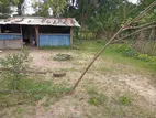 Land for Sale Kilinochchi