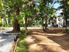 Calm Surrounding Area Land for Sale in Weliweriya
