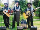 Calypso Band for All Functions