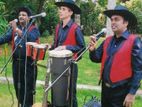 Calypso Band For All Functions