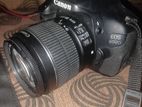 Canon D600
