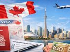 Canada Visit Visa Multiple Entry