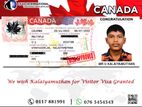 Canada Visitor Visa Success Lead International