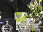 Candy Jars ( Size - Large )