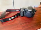 Cannon EOS 7D Camera