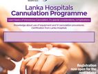 Cannulation Programme