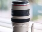 Canon 100-400mm IS I Lens