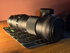 Canon 150–600mm Telephoto Lens