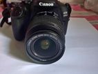 Canon 2000D DSLR Camera for Rent