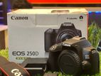 Canon 250D Body 4K