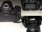 Canon 250D Camera