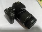 Canon 250D DSLR