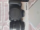 Canon 250D