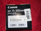 Canon 250d Camera Set