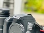 Canon 250D