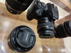 Canon 250 D with 4 Lenses