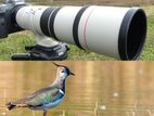 Canon 400mm Wildlife Prime Lens For Rent