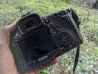 Canon 5D mark iii with 50mm STM