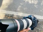 Canon 5d mark iii with 70/200mm F/2.8 Lens