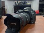 Canon 5D Mark iv 24 x 105mm lens