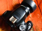 Canon 600D Camera
